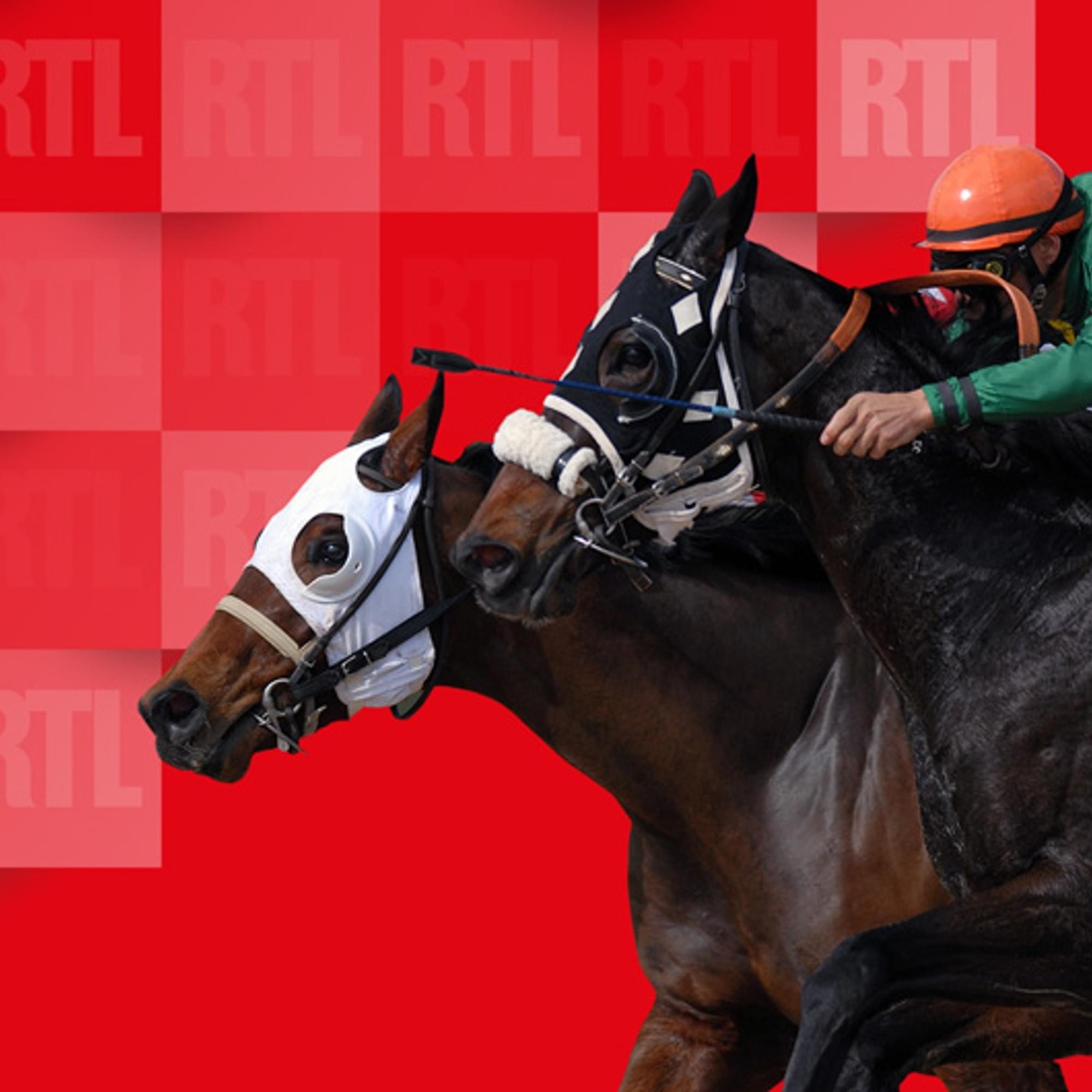 Quinté du mardi 28 avril 2026 à Chantilly : les pronostics